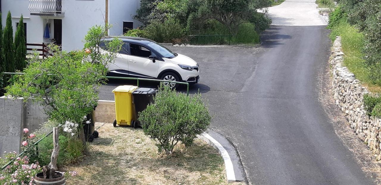 Guest House Violeta Palit Εξωτερικό φωτογραφία