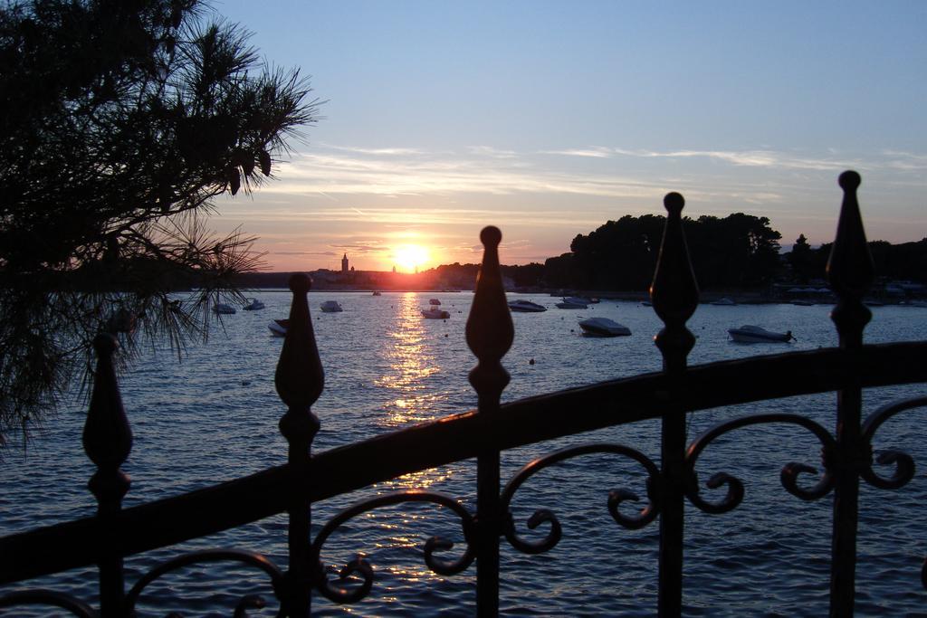 Guest House Violeta Palit Εξωτερικό φωτογραφία